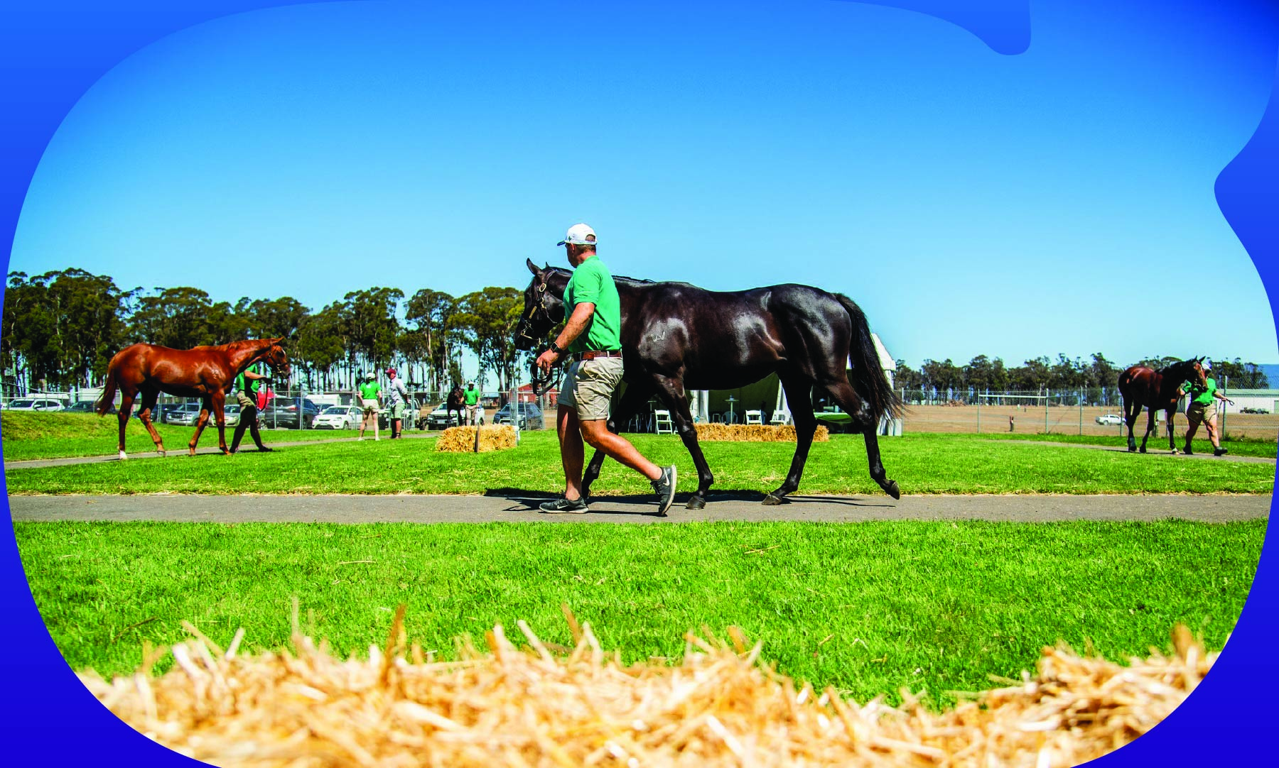 Magic Millions